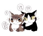  2015 cat duo feline ichthy0stega japanese_text mammal simple_background text translation_request 