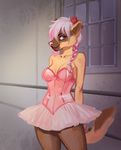  anthro bare_shoulders braided_hair breasts brown_fur canine cleavage clothed clothing dash_ravo dog female front_view fully_clothed fur german_shepherd hair hi_res jezebel legwear looking_away mammal multicolored_fur multicolored_hair pantyhose pink_bottomwear pink_hair pink_nose pink_topwear purple_eyes sheer_clothing side_view smile smirk solo standing tan_fur three-quarter_view translucent transparent_bottomwear transparent_clothing transparent_legwear tutu two_tone_fur two_tone_hair white_hair window 