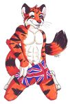  2009 abs anthro black_fur blue_eyes boxers_(clothing) cat celestialwolfen clothed clothing feline fur grin kneeling looking_at_viewer male mammal orange_fur pubes seductive simple_background solo teasing tiger topless underwear union_jack white_background white_fur 