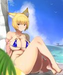  adapted_costume against_tree animal_ears bad_feet bare_shoulders barefoot beach belly bikini blonde_hair blue_bikini blurry blush breasts brown_eyes brown_nails cleavage closed_mouth cloud collarbone day depth_of_field fox_ears fox_girl fox_tail kitsune knees_up large_breasts legs_together looking_at_viewer micro_bikini multiple_tails no_hat no_headwear otama11 outdoors palm_tree plump short_hair side-tie_bikini sitting smile solo sweat swimsuit tail thick_thighs thighs toenails touhou tree water yakumo_ran 