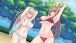  ;t absurdres amagi_brilliant_park antenna_hair armpits arms_behind_head arms_up bad_id bad_pixiv_id bikini blonde_hair blue_eyes blurry blush breasts brown_eyes brown_hair bush cleavage collarbone commentary cowboy_shot day depth_of_field fairy_wings green_kaminari groin hair_ribbon highres large_breasts multiple_girls navel one_eye_closed outdoors ponytail red_bikini ribbon sento_isuzu stomach stretch swimsuit sylphy_(amaburi) tears tree trembling underboob white_ribbon wings 