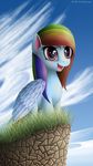  blue_feathers day detailed equine eyelashes feathered_wings feathers female feral friendship_is_magic grass hair mammal michellka multicolored_hair my_little_pony open_mouth outside pegasus pink_eyes rainbow_dash_(mlp) rainbow_hair sky solo standing tongue wings 