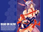 ayane cleavage dead_or_alive purple_hair ribbons tagme 