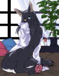  ambiguous_gender anthro bangs bed black_fur blue_eyes blush claws clothing domestic_cat felid feline felis flat_chested fur grey_inner_ear hair heterochromia long_hair looking_at_viewer mammal nipples nude ookamikurepu pawpads scar shirt sitting smile solo toe_claws tuft もち 