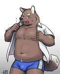  5_fingers body_hair boxers_(clothing) brown_fur bulge canine clothed clothing fox fur green_eyes happy_trail jeck male mammal navel nipples obese open_mouth open_shirt overweight simple_background solo underwear undressing 