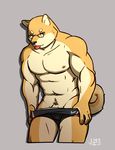  5_fingers body_hair boxers_(clothing) canine clothing dog eyewear glasses happy_trail jeck male mammal muscular navel nipples penis penis_base shiba_inu signature simple_background solo tongue tongue_out underwear undressing 