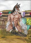  animal_genitalia animal_penis armor clydesdale draft_horse equine equine_penis erection fence grass horse jousting lynxisferus mammal medieval penis shield traditional_media_(artwork) watercolor_(artwork) 