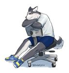  black_fur canine chair clothing dog footwear fur jeck male mammal office_chair shirt shoes shorts simple_background sitting solo t-shirt white_fur 