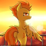  2016 amber_eyes anus bedroom_eyes butt clitoral_winking clitoris cutie_mark equine feathered_wings feathers female feral friendship_is_magic fur hair half-closed_eyes horse lens_flare looking_at_viewer looking_back mammal multicolored_hair my_little_pony neighday orange_hair outside pegasus pony pussy seductive solo spitfire_(mlp) two_tone_hair wings wonderbolts_(mlp) yellow_feathers yellow_fur 