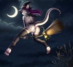  anus ark_warrior branch broom clothed clothing cloud crescent_moon crossdressing darkdragon4 elbow_gloves girly gloves hair hat lantern legwear levitating low-angle_view magic_user male moon night penis purple_hair skirt solo star stockings witch witch_hat 