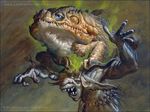  ambiguous_gender amphibian anthro big_ears duo feral front_view goblin hairy humanoid lars_grant-west magic_the_gathering male mostly_nude official_art on_shoulders on_top on_top_of signature teeth toad url 