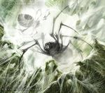  arachnid arthropod duo feral lars_grant-west low-angle_view magic_the_gathering multi_eye official_art signature spider spiderweb standing upside_down url 