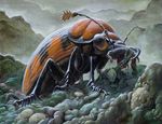  antennae arthropod atmospheric_perspective beetle corpse death eating feral insect lars_grant-west macro magic_the_gathering official_art signature standing url 