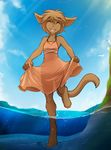  anthro avian basitin bird clothed clothing digitigrade dress eyes_closed fur happy invalid_tag madelyn_adelaide mammal running smile solo splashing tom_fischbach translucent transparent_clothing twokinds water young 