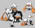  2018 4_fingers anal anthro asphyxiation avian bird butt choking cum digital_media_(artwork) disney donald_duck duck duo female forced hair hi_res in inside internal invalid_tag magica_de_spell male male/female nude out penetration penis rape smile tikka tongue 