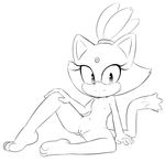  2016 anthro areola blaze_the_cat breasts cat feline female flat_chested fur hearlesssoul looking_at_viewer mammal navel nipples nude presenting presenting_pussy pussy smile solo sonic_(series) spread_legs spreading video_games 