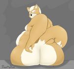  2016 anthro belly big_belly canine digital_media_(artwork) fox fox_mccloud fur grin happy looking_at_viewer low-angle_view male mammal mccloud nintendo nude obese overweight overweight_male simple_background sitting sleepyras slightly_chubby smile solo star_fox thicc thick_thighs thigh video_games 