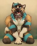  2016 anthro blue_eyes blue_fur blue_hair brown_fur canine collar digital_media_(artwork) dog drooling front_view fur garnetto german_shepherd hair hi_res kneeling looking_at_viewer male mammal multicolored_fur navel nude open_mouth penis penis_tip pink_tongue saliva simple_background solo tongue tongue_out vektor white_fur 
