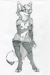  2016 breasts canine clothing ear_piercing female fox legwear mammal nude piercing ruaidri sketch solo stockings 