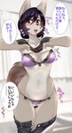  bra buried_frog dog furry japanese panties purple_hair short_hair translation_request undressing 