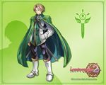  cape glasses green luminous_arc steiner 