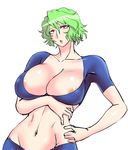  areola_slip areolae breast_hold breasts cleavage collarbone danna_(karatekikku) green_hair groin hand_on_hip kazami_yuuka large_breasts red_eyes short_hair touhou 