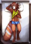  4_toes bed boxwers brown_fur bulge clothed clothing clothing_lift fur green_eyes hand_behind_head looking_at_viewer lying male mammal navel on_back red_panda rookiebear shirt shirt_lift solo tank_top toes 