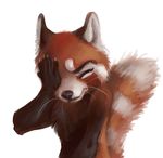  akineza ambiguous_gender facepalm mammal red_panda solo 