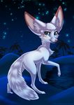  ambiguous_gender blue_eyes canine cool_colors desert detailed_background fennec feral fluffy fluffy_tail fox fur grey_fur hi_res looking_at_viewer mammal night palm_tree quadruped rukifox sand sky solo star starry_sky tree url water 