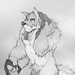  abs anthro biceps big_muscles canine fluffy fur male mammal muscular muscular_male nude pecs penis solo takemoto_arashi towel tuft wolf 
