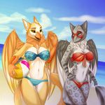  5_fingers aimi avian beach beak bikini blue_eyes break breasts brown_eyes clothing day duo eyelashes feathered_wings feathers female fur grey_feathers grey_fur gryphon midriff navel open_mouth outside sand seaside sky smile spots spotted_fur standing swimsuit water white_feathers wide_hips wings yellow_feathers yellow_fur 