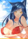  1girl ahri animal_ears bare_shoulders bikini black_hair blush breasts cleavage erect_nipples erect_nipples_under_clothes facial_mark female hand_on_hip hikarusorano kitsunemimi large_breasts league_of_legends long_hair looking_at_viewer nipples ocean open_mouth outdoors pussy slit_pupils smile solo sunlight swimsuit tail underboob upper_body water whisker_markings yellow_eyes 