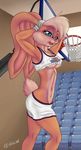  2016 basketball breasts clothed clothing female invalid_tag kb-unlimited lagomorph lola_bunny looking_at_viewer looney_tunes mammal navel rabbit shirt shorts skimpy solo space_jam warner_brothers 
