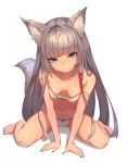  1girl animal_ear_fluff animal_ears barefoot blue_eyes blue_nails blush bra breasts character_request closed_mouth collarbone commentary_request eyebrows_visible_through_hair fingernails fox_ears fox_tail full_body grey_hair hair_ornament hair_ribbon highres long_hair looking_at_viewer munuu nail_polish navel off_shoulder original panties red_ribbon ribbon simple_background sitting small_breasts solo strap_slip tail thick_eyebrows toenail_polish toenails underwear underwear_only very_long_hair wariza white_background white_bra white_panties 