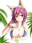  animal_ears bikini blue_bikini blue_bikini_top blush breasts cleavage collarbone cum cum_on_body cum_on_breasts cum_on_fingers cum_on_upper_body fate/extra fate/grand_order fate_(series) fox_ears large_breasts looking_at_viewer nipples nyangorumoa open_mouth pink_hair solo swimsuit tamamo_(fate)_(all) tamamo_no_mae_(fate) tamamo_no_mae_(swimsuit_lancer)_(fate) yellow_eyes 