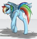  2016 aelsiiz anus butt cutie_mark dock equine female feral friendship_is_magic hair looking_at_viewer looking_back mammal multicolored_hair multicolored_tail my_little_pony outside pegasus presenting presenting_hindquarters pussy rainbow_dash_(mlp) rainbow_hair rainbow_tail rear_view simple_background solo tongue tongue_out underhoof wings 