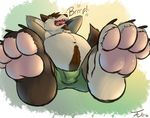  2016 4_toes anthro beard belly big_belly blaidd_wolfe body_hair boxers_(clothing) brown_fur brown_nose bulge burping canine claws clothed clothing digital_drawing_(artwork) digital_media_(artwork) facial_hair foot_focus foreshortening fur goatee grey_fur hands_behind_head happy_trail male mammal multicolored_fur navel onomatopoeia open_mouth overweight overweight_male pink_tongue reclining signature simple_background solo sound_effects tanio teeth toe_claws toes tongue topless underwear white_fur wolf 