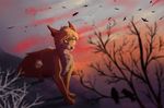 black_nose blonde_hair canine day detailed detailed_background female fluffy fox fur hair hindpaw mammal outside paws sky solo standing tan_fur tril-mizzrim whiskers yellow_eyes 