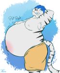  2016 anthro armpit_hair belly big_belly black_eyes black_fur black_nose black_stripes blue_hair clothed clothing digital_media_(artwork) feline fur hair hand_on_stomach hi_res hyper hyper_belly male mammal nipples obese one_eye_closed overweight overweight_male portrait shorts side_view signature simple_background solo standing striped_fur stripes tanio teeth textured_background three-quarter_portrait tiger topless whiskers white_fur white_nipples white_tiger 