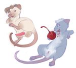  animal_genitalia anus balls cherry duo feral food fruit mammal melvismd penis pussy rat rodent sheath 