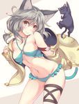  &gt;_&lt; :3 animal animal_ears aqua_bikini bikini black_cat blush bow breasts brown_eyes cat cat_ears closed_eyes closed_mouth collarbone erune frilled_bikini frills granblue_fantasy grey_hair hair_between_eyes hair_bow head_tilt itoichi. jacket long_hair long_sleeves looking_at_viewer low_ponytail medium_breasts navel open_clothes open_jacket paws sen_(granblue_fantasy) short_hair silver_hair simple_background small_breasts smile solo swimsuit thigh_strap underboob whiskers white_background yellow_bow yellow_jacket 
