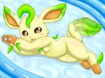  armpits blush breasts eeveelution fangs female fuddy leafeon looking_at_viewer mammal nintendo open_mouth outside pawpads paws pok&eacute;mon pool_(disambiguation) smile solo video_games water 