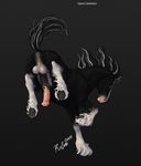  2015 anatomically_correct anatomically_correct_anus anatomically_correct_penis animal_genitalia animal_penis anus backsack balls black_background black_fur brown_eyes butt digital_media_(artwork) dock equine equine_penis erection feathering feral fur hooves horse male mammal mane medial_ring mottled_penis multicolored_fur multicolored_penis penis perineum puffy_anus quadruped raised_behind raised_tail rufciu signature simple_background solo two_tone_fur two_tone_penis underhoof vein veiny_penis white_balls white_fur 