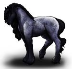  2009 black_fur black_mane black_tail blue_fur clemikou digital_media_(artwork) equine feathering feral fur hooves horse looking_at_viewer male mammal mane multicolored_fur quadruped shadow side_view signature simple_background solo two_tone_fur white_background 