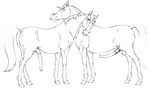  anus balls equine erection feral horse klaus_doberman male male/male mammal penis sketch 