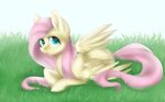  2016 absurd_res blue_eyes equine feathered_wings feathers female feral fluttershy_(mlp) food friendship_is_magic fruit fur grass hair hi_res looking_at_viewer lying mammal my_little_pony on_front pegasus pink_hair scarlet-spectrum solo wings yellow_feathers yellow_fur 