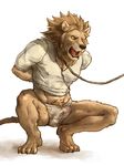  496549736_(artist) athletic bdsm bound bulge clothing crouching erection_though_clothing feline leash lion male mammal open_mouth shirt solo underwear 