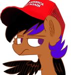  clothing donald_trump equine hat male mammal my_little_pony sharpshooter_(character) 