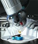  canine cheetah chef cooking dessert dog feline food husky hybrid male mammal swish 