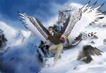  avian bird brown_hair clothed clothing day detailed_background dragon eyewear feathered_wings feathers goggles hair human hybrid inkrend male mammal mountain outside smile snow solo white_feathers wings 